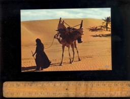 République Islamique De MAURITANIE : Méhariste Dans Le Désert Chameau Camel - Mauritania