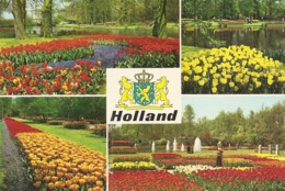 Pays-Bas. CPM. Lisse. Parc Keukenhof (près D’Amsterdam) Holland In Bloementooi (La Hollande En Parure De Fleurs) - Lisse