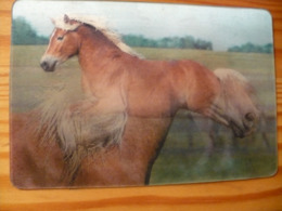 Horse - Lenticular (3D) Card  From Hungary - Autres & Non Classés