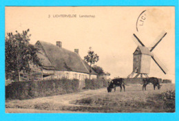 CPA LICHTERVELDE : Landschap ( Met Molen ) - Circulée En 1924 - Edit S.V.L. - 2 Scans - Lichtervelde