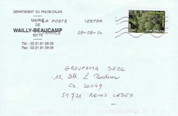 62 - MAIRIE De WAILLY-BEAUCAMP - 62170 - Autres & Non Classés