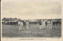 D45 - LE CAMP DE CERCOTTES - LE PARC DES CHEVAUX -  Quelques Militaires - Nombreux Chevaux - Other Municipalities