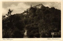 CPA AK Bad Wildungen Schloss Friedrichstein GERMANY (899485) - Bad Wildungen