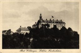 CPA AK Bad Wildungen Schloss Friedrichstein GERMANY (899498) - Bad Wildungen