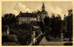 CPA AK Bad Wildungen Schloss Friedrichstein GERMANY (899511) - Bad Wildungen