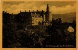CPA AK Bad Wildungen Schloss Friedrichstein GERMANY (899515) - Bad Wildungen