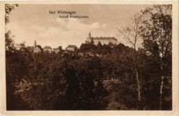 CPA AK Bad Wildungen Schloss Friedrichstein GERMANY (899518) - Bad Wildungen