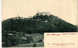 CPA AK Bad Wildungen Schloss Friedrichstein GERMANY (899536) - Bad Wildungen