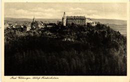 CPA AK Bad Wildungen Schloss Friedrichstein GERMANY (899569) - Bad Wildungen