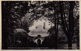 CPA AK Bad Wildungen Bad Reinhardsquelle GERMANY (899570) - Bad Wildungen