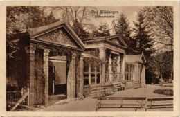 CPA AK Bad Wildungen Helenen Quelle GERMANY (899578) - Bad Wildungen