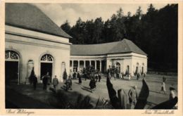 CPA AK Bad Wildungen Neue Wandelhalle GERMANY (899579) - Bad Wildungen