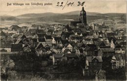 CPA AK Bad Wildungen Vom Schlossberg Gesehen GERMANY (899585) - Bad Wildungen