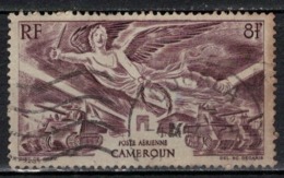 CAMEROUN             N°     YVERT   PA   31  ( 2 )   OBLITERE       ( Ob  5/47 ) - Airmail