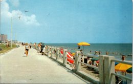 Virginia Virginia Beach Boardwalk Scene 1956 - Virginia Beach