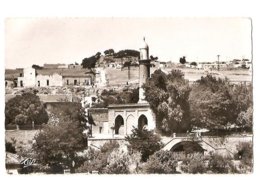 Tiaret - Mosquée - Tiaret