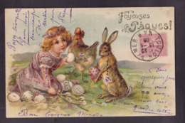 CPA Lapin Position Humaine Gaufré Embossed Circulé - Other & Unclassified