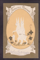 CPA Lapin Position Humaine Gaufré Embossed Circulé - Other & Unclassified