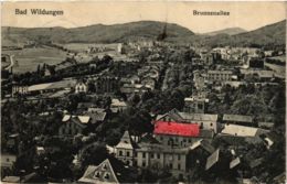 CPA AK Bad Wildungen Brunnenallee GERMANY (899622) - Bad Wildungen