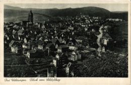 CPA AK Bad Wildungen Blick Vom Schlossberg GERMANY (899644) - Bad Wildungen