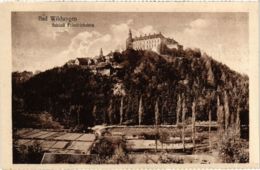 CPA AK Bad Wildungen Schloss Friedrichstein GERMANY (899695) - Bad Wildungen