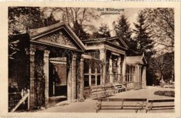 CPA AK Bad Wildungen Helenenquelle GERMANY (899697) - Bad Wildungen