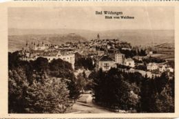 CPA AK Bad Wildungen Blick Vom Waldhaus GERMANY (899699) - Bad Wildungen