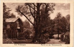 CPA AK Bad Wildungen Partie An Der Helenenquelle GERMANY (899709) - Bad Wildungen