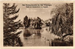 CPA AK Bad Wildungen Partie Am Schwanenteich Im Kurpark GERMANY (899714) - Bad Wildungen