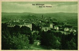 CPA AK Bad Wildungen Blick Vom Waldhaus GERMANY (899728) - Bad Wildungen