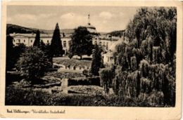 CPA AK Bad Wildungen Furstliches Badehotel GERMANY (899734) - Bad Wildungen