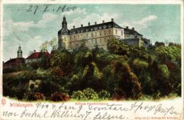 CPA AK Bad Wildungen Schloss Friedrichstein GERMANY (899740) - Bad Wildungen