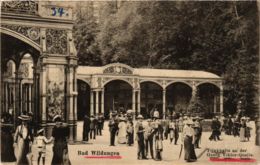 CPA AK Bad Wildungen Trinkhalle A.d.Georg Viktor-Quelle GERMANY (899744) - Bad Wildungen