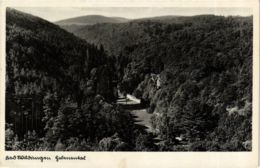 CPA AK Bad Wildungen GERMANY (899752) - Bad Wildungen