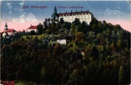 CPA AK Bad Wildungen Schloss Friedrichstein GERMANY (899768) - Bad Wildungen