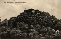 CPA AK Bad Wildungen Schloss Friedrichstein GERMANY (899785) - Bad Wildungen