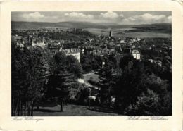 CPA AK Bad Wildungen Blick Vom Waldhaus GERMANY (899800) - Bad Wildungen