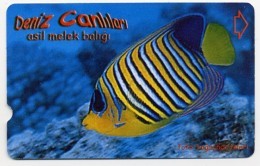 Poisson Fisch Fish Pez Pesce Télécarte Phonecard  Telefonkarte W80 - Turquie