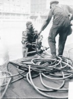 SCAPHANDRIERS "PIEDS LOURDS", Contrôle De La Ligne De Vie, Reproduction - Mestieri