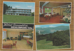 AK Siedelsbrunn Odenwald Hotel Cafe Restaurant Pension Tannenblick A Wald Michelbach Abtsteinach Kreidach Mackenheim - Odenwald