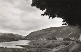 Delcampe - MERL A. D. MOSEL-1961-REAL PHOTO - Zell
