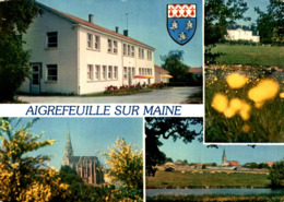 Aigrefeuille Sur Maine   CPM Ou CPSM - Aigrefeuille-sur-Maine