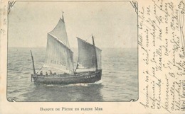 BARQUE DE PÊCHE EN PLEINE MER. - Pêche