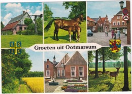 Groeten Uit Ootmarsum - O.a. RENAULT 10, Paard En Veulen, Herten - Ootmarsum