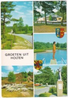 Groeten Uit Holten -  Duikplank, Zwembad, Stenenbeeld 'Man Met Verrekijker' Etc. - Vakantieverblijf 'Twenhaarsveld' - Holten