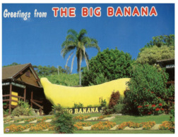 (DEL 101) Postcard - Australia - NSW - Coffs Harbour - Big Banana - Coffs Harbour