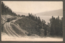 Carte P De 1904 ( Chemin De Fer / Pont - Brassus Vallée De Joux ) - VD Vaud