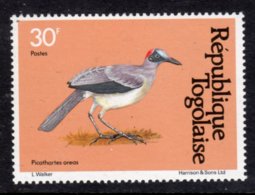 TOGO - 1981 GREY-NECKED BALD CROW 30c BIRDS STAMP FINE MNH ** SG 1529 - Togo (1960-...)