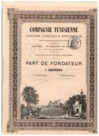 Titre Ancien - Compagnie Tunisienne Foncière, Agricole & Industrielle - VF - Déco - Rare - Africa