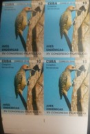 O) 2018 CUBA - CARIBBEAN, IMPERFORATED, ENDEMIC BIRD - COLAPTES FERNANDINAE - XV PHILATELIC CONGRESS, PICIFORME, MNH - Imperforates, Proofs & Errors